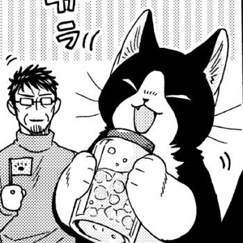 しのぷ