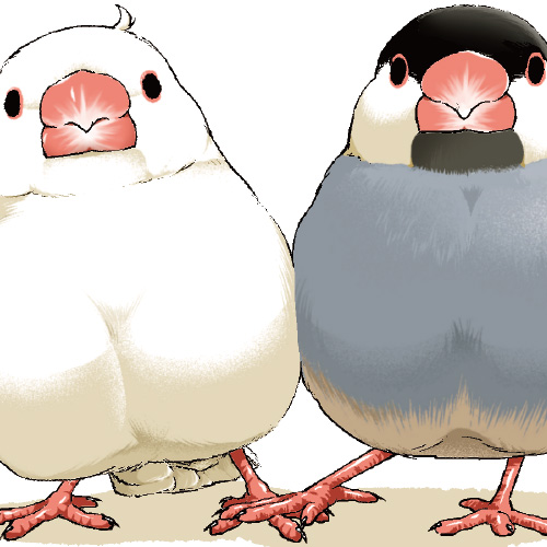 44トーク「すわれないんですけど～」「キンチョー!!!」