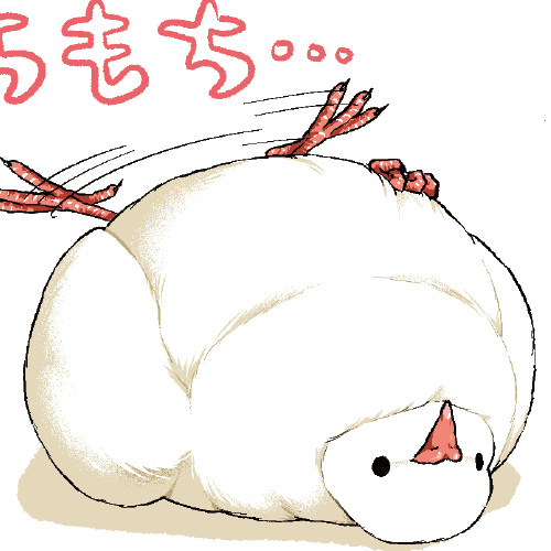 ちゅんトーク｜COMIC ポルタ｜イースト・プレス