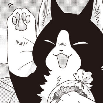 しゃいかい