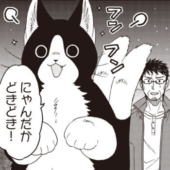 よるのおしゃんぽ