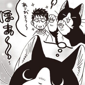 まっしゃーじ