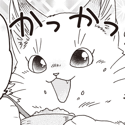 ちゃまかけごあん