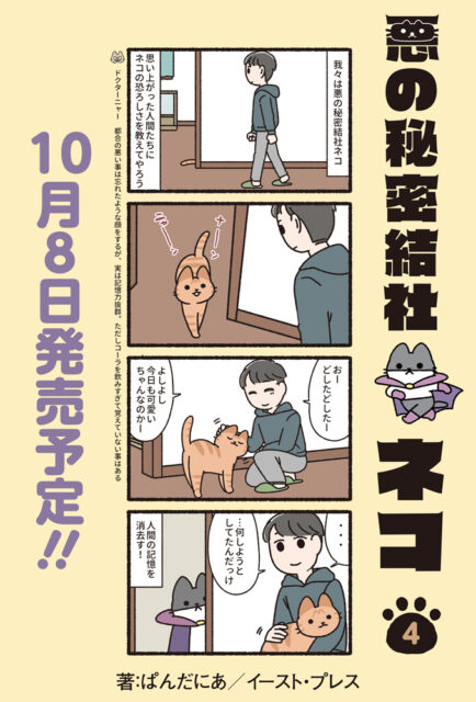 ↓ねこようかい、ねこもんすたー、悪の秘密結社ネコ 13冊セット ↓ねこようかい、ねこもんすたー、悪の秘密結社ネコ 13冊セット